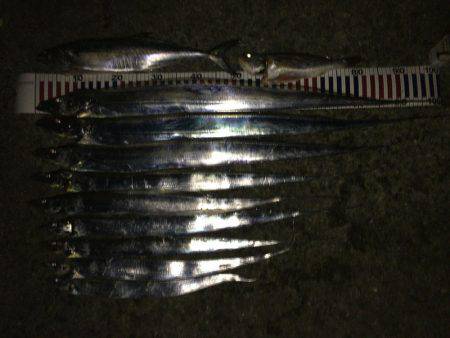 メータータチ二本