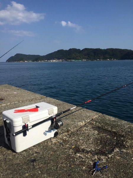 良型マダイ現る！