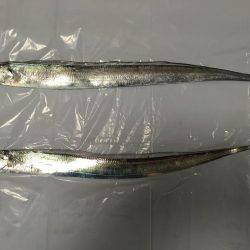 岸和田春木ベランダ刀狩り