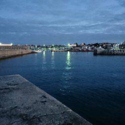 食べごろサイズのアオリイカget♪