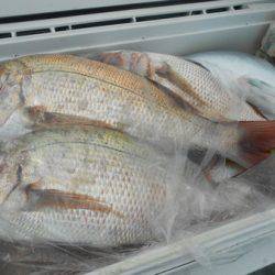 こうゆう丸 釣果