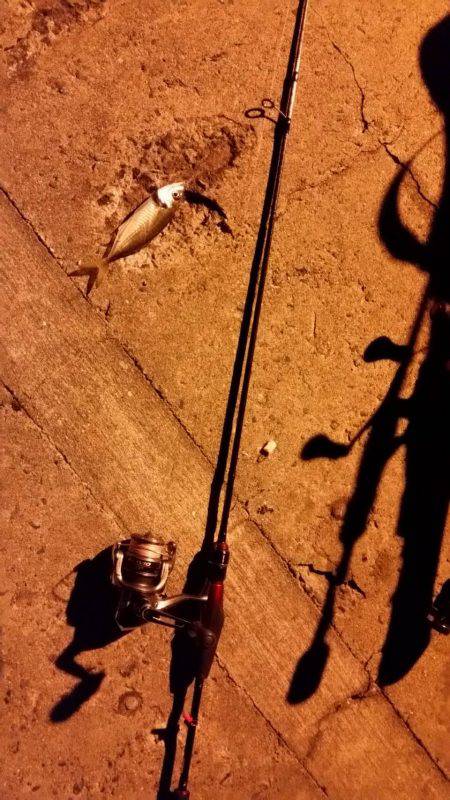 ライトソルト！