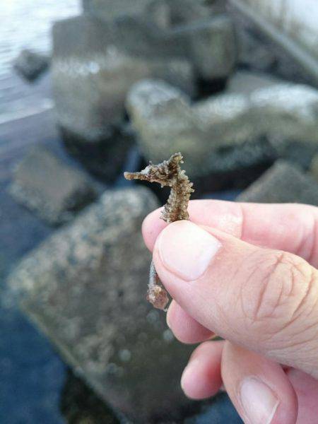 イカを求めてあちこちと・・・