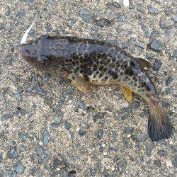 大阪南をランガン