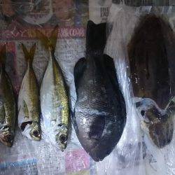 目的は釣れました