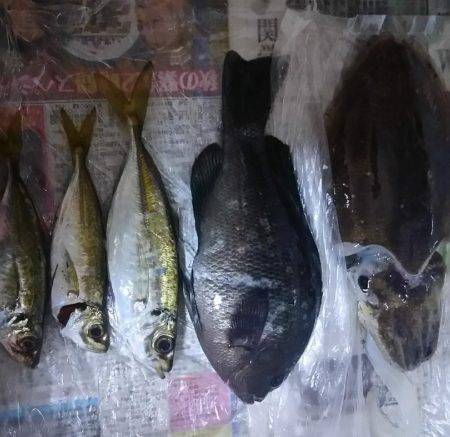 目的は釣れました