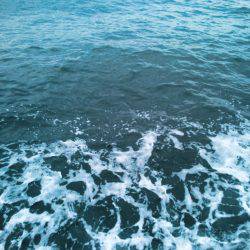 寒波がくる前に。