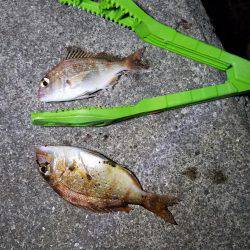 リベンジ成功♪(笑)