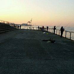 早朝タチウオ、F4級3連荘！今年は大型が多いです。