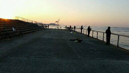 早朝タチウオ、F4級3連荘！今年は大型が多いです。