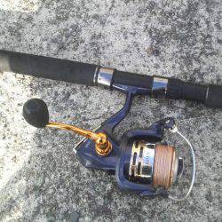 イカがいなくてもタコがいる!