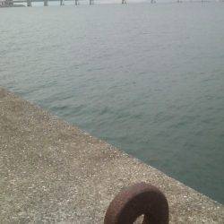 変わった釣り方は要注意！！