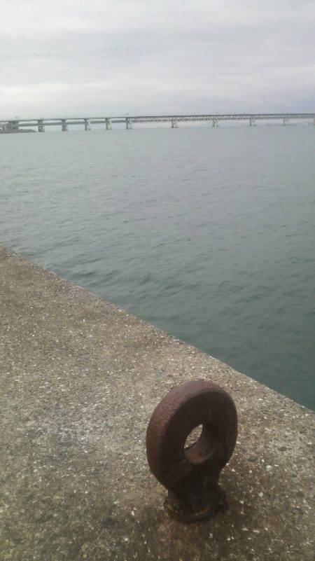 変わった釣り方は要注意！！