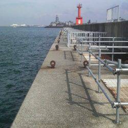 今日で７日間連続タコを釣り上げました（笑）