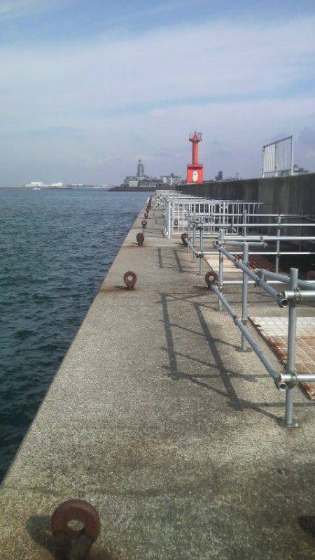 今日で７日間連続タコを釣り上げました（笑）