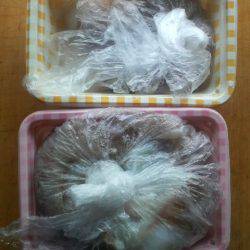 今日はダメかと思ったが・・・◎