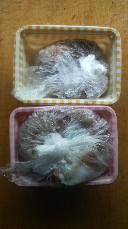 今日はダメかと思ったが・・・◎