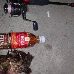 砂地のポイントでアジング!!