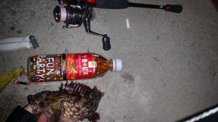 砂地のポイントでアジング!!