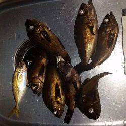 メバル狙いで南下!