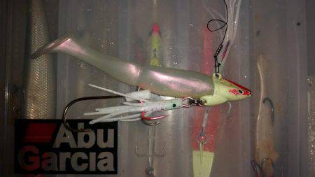 タチウオ遅めのジアイ