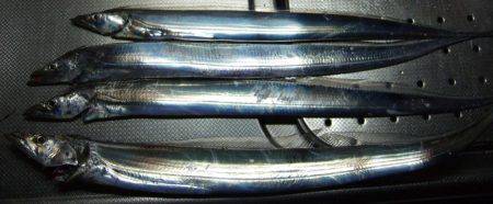 釣れる竿、釣れない竿。ってありますよね?