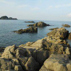 釣り日和、磯でアオリイカのヤエン釣り