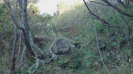 青物不発、グレ、アジ、メバルは高活性です。