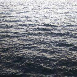 ヤエンで釣れました