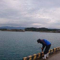 爆釣！小刀狩り