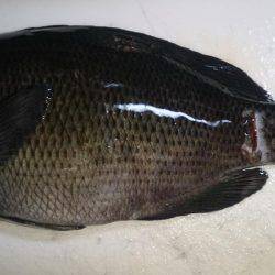 爆風でしかも寒い