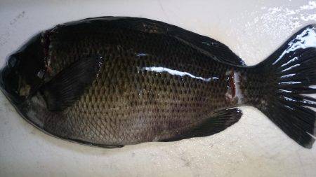 爆風でしかも寒い