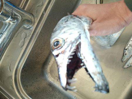 激混み赤灯波止避け 本荘ケーソンへ