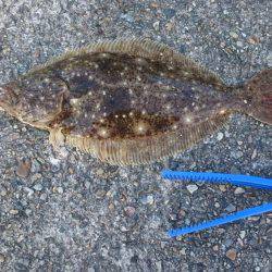 スーパー大潮２日目