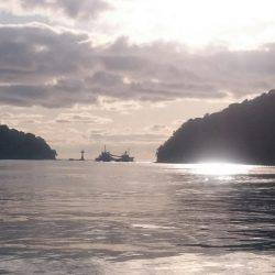 アジののませ釣りでヒラメ２匹！