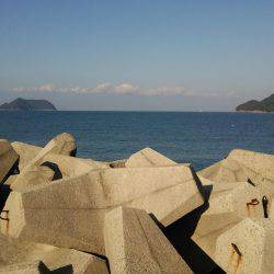 600はあると思いましたが