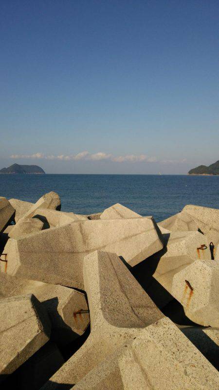 600はあると思いましたが