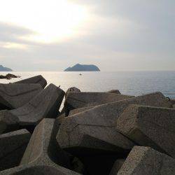 やる気はあるものの