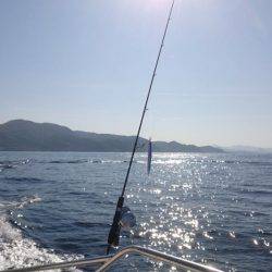 アルバトロス乗船