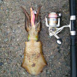 雨の中なんとか１杯