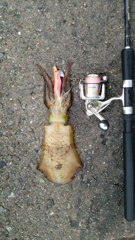 雨の中なんとか１杯