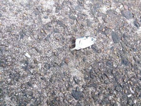 狙い通りには届かずも