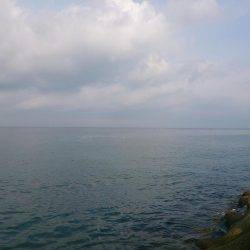 スズキくんとメジロさん仲良く良くほぼ同寸