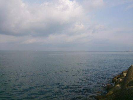 スズキくんとメジロさん仲良く良くほぼ同寸