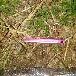 ジグパラマイクロ大活躍！！