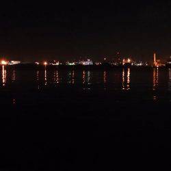 シブイ！タチウオ