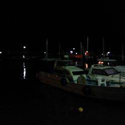 ひとときの時合い