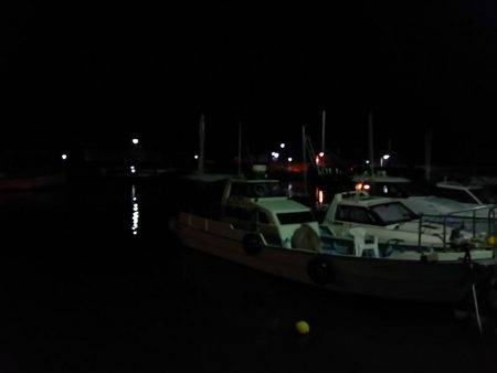 ひとときの時合い