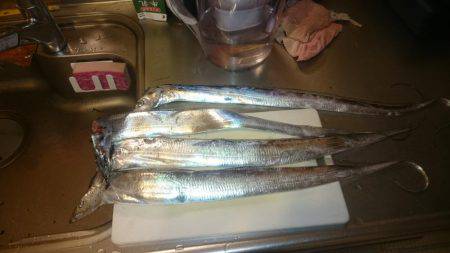 ファミリーフィッシング