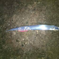 サーベルハンター